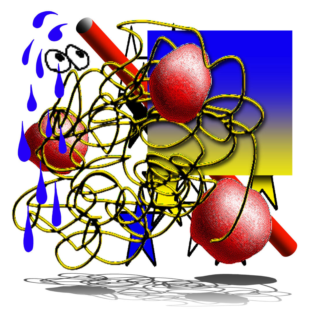 Learning spaghetti: 3rd edition