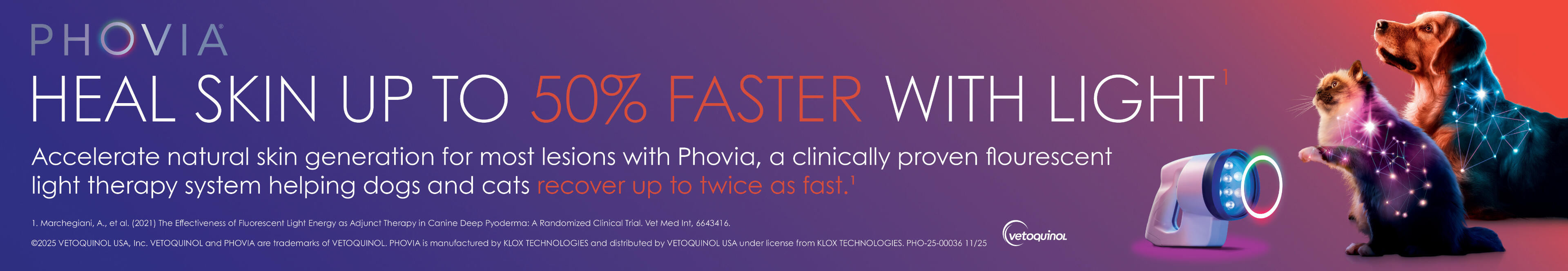 Phovia Web Banner
