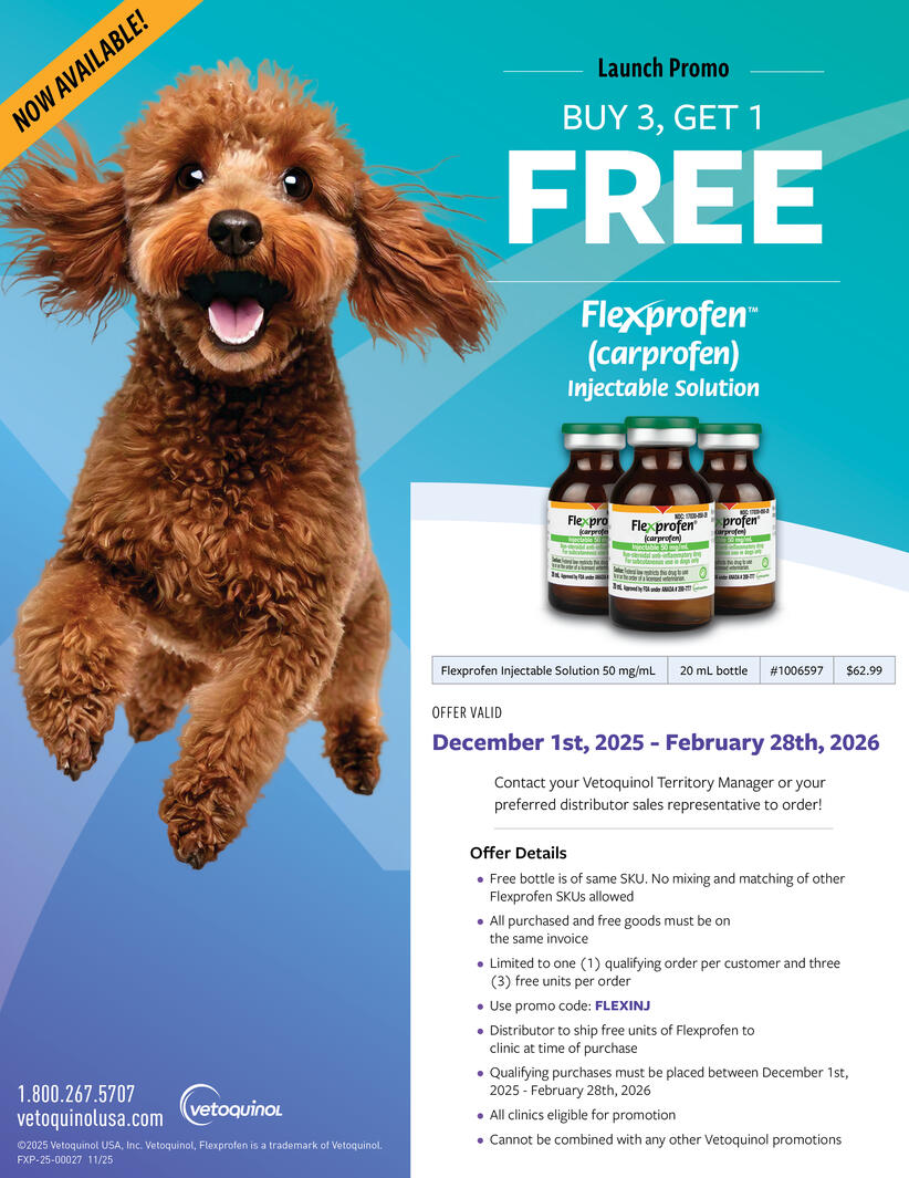 Flexprofen injectable solution flyer (designed for Vetoquinol, co-designed by Nathalie Cappione)