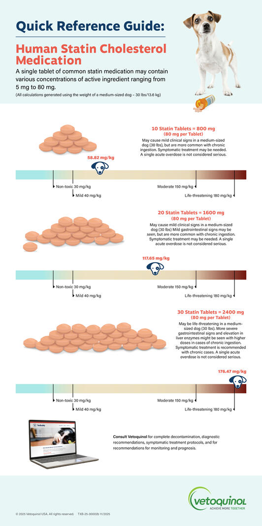 ToxBuddy Statins safety reference guide (designed for Vetoquinol)